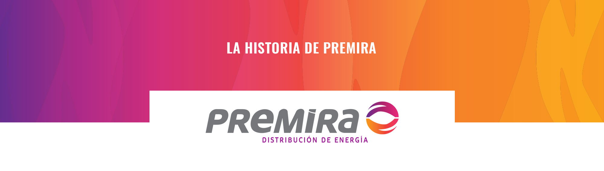 Premira, distribuidor repsol, distribuidor diesel, diesel domicilio aragon, diesel domicilio pais vasco