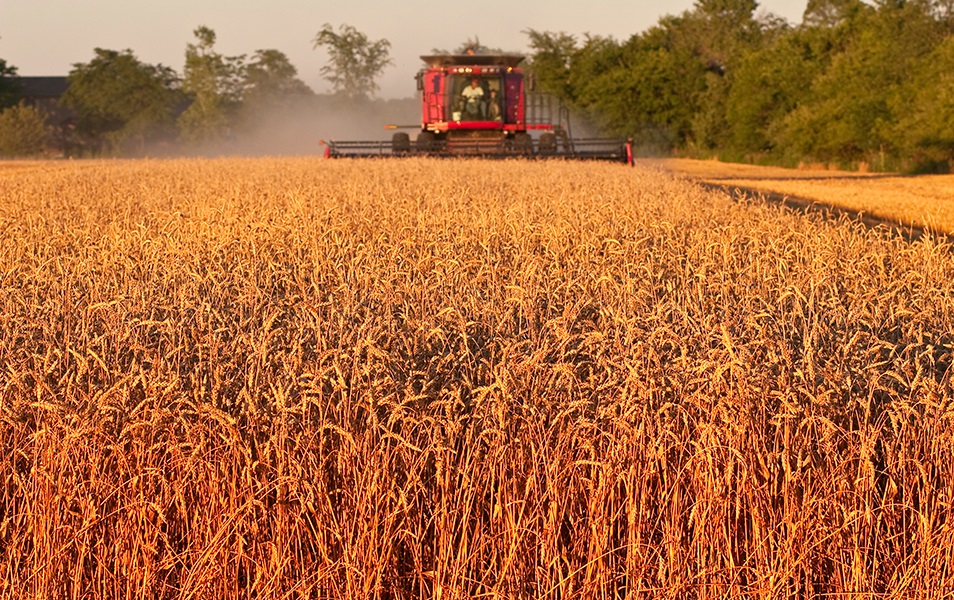 diesel, agricola, diesel repsol, distribucion repsol, diesel tractor